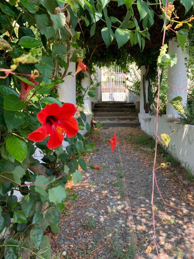 Casa Diana Arianna Apartment Lipari  Exterior photo
